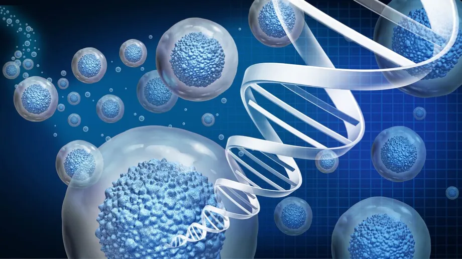 An RNA-Based Switch for Dialing Gene Therapy Up or Down