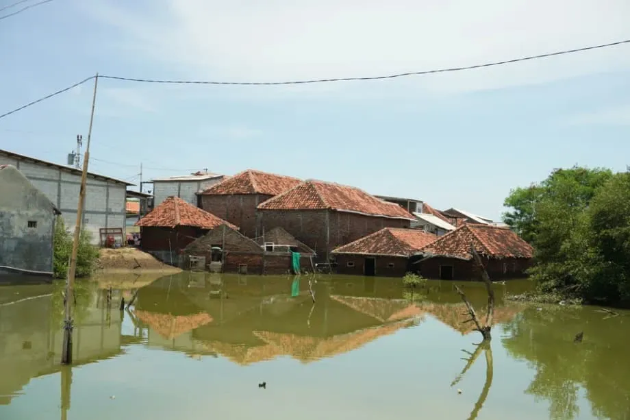 জাভার উত্তর উপকূল রক্ষায় ইন্দোনেশিয়ার বিশাল সমুদ্রপ্রাচীর পরিকল্পনার আদ্যোপান্ত