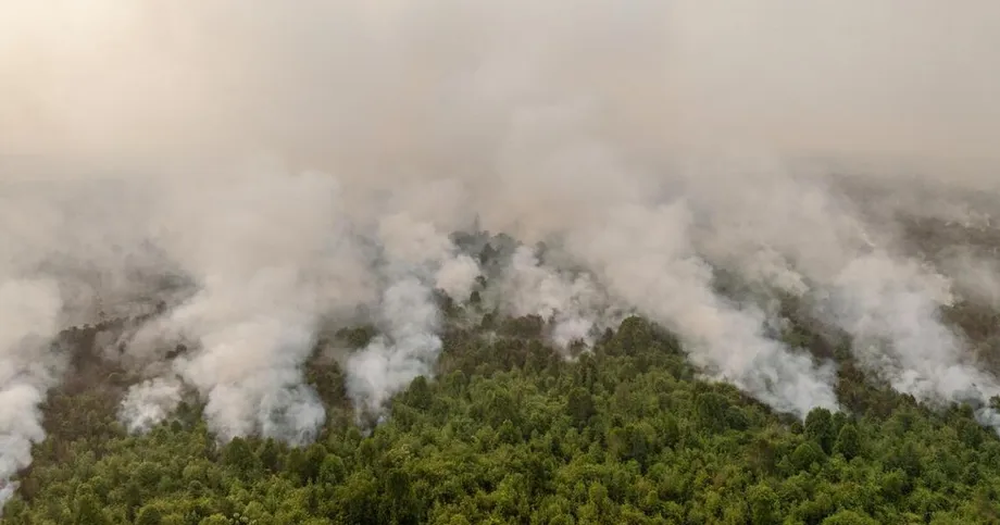 Smoke Grounds Indonesia Firefighting Aircraft as Prabowo Orders Pumps and Wells for Orangutan Habitat